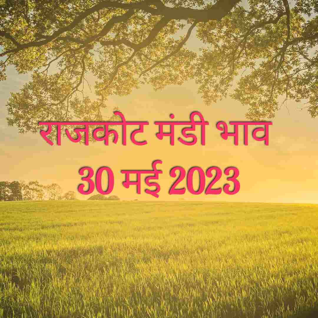 राजकोट मंडी भाव 30 मई 2023