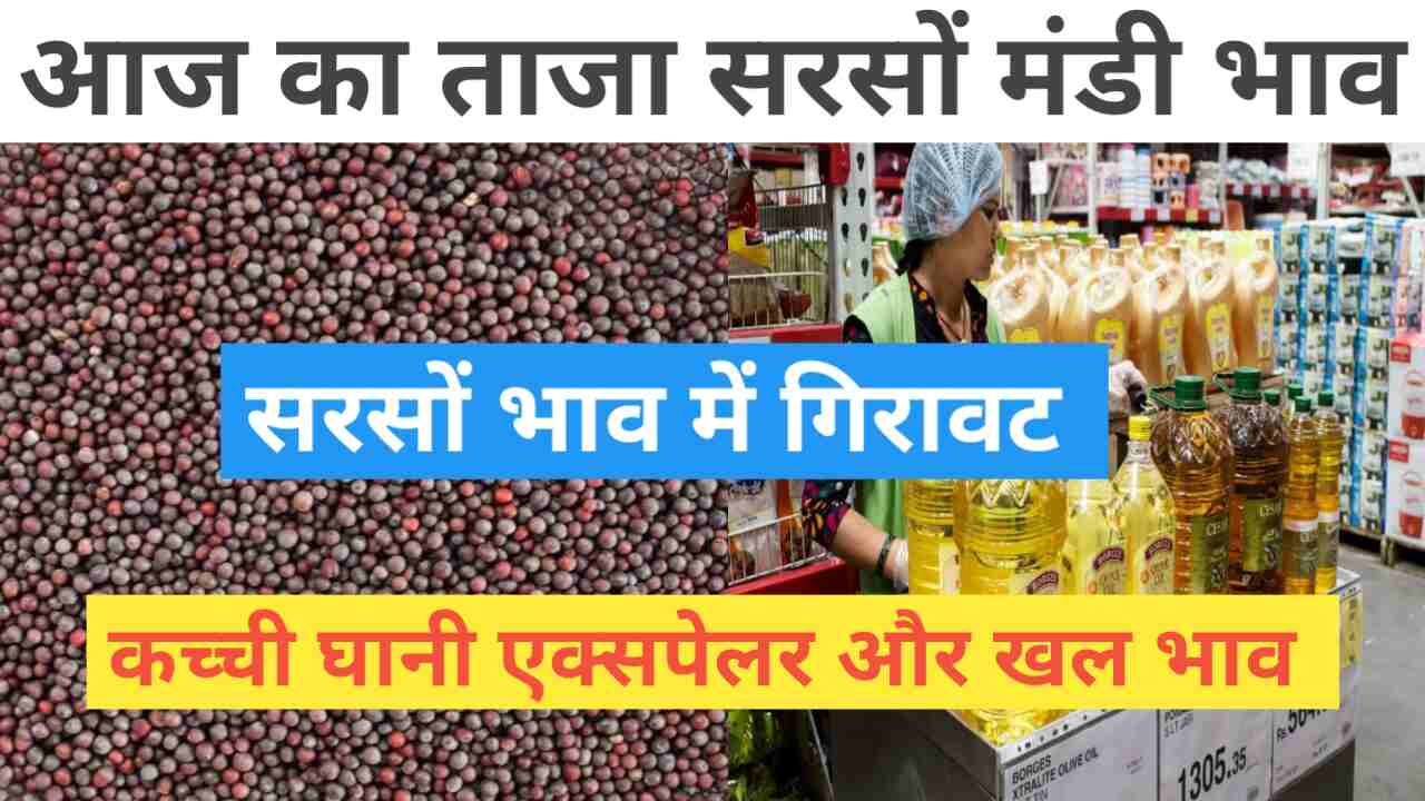 Mustard Mandi price today 8 June