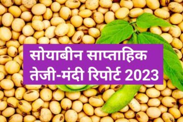 Soyabean boom Recession report 2023
