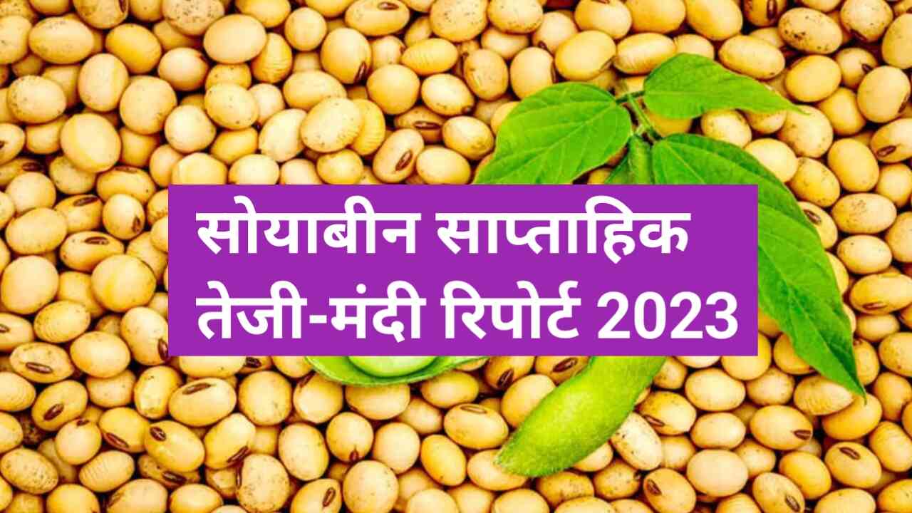 Soyabean boom Recession report 2023
