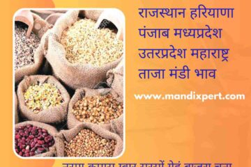 Mandi bhav today 17 june