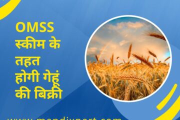 OMSS SCHEME WHEAT SELL