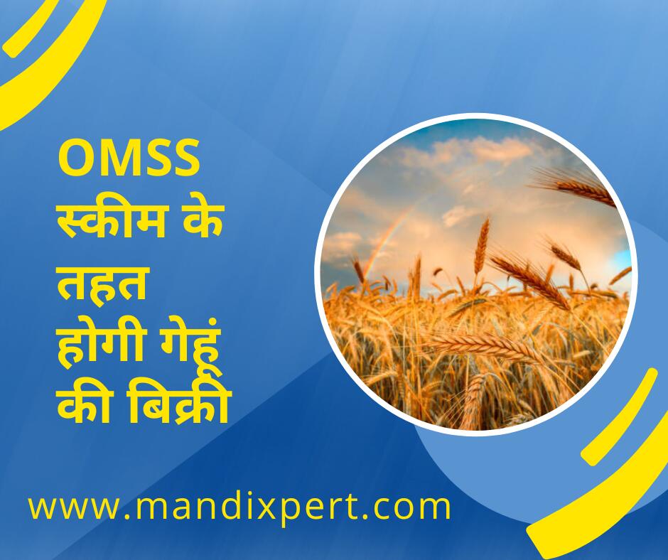 OMSS SCHEME WHEAT SELL