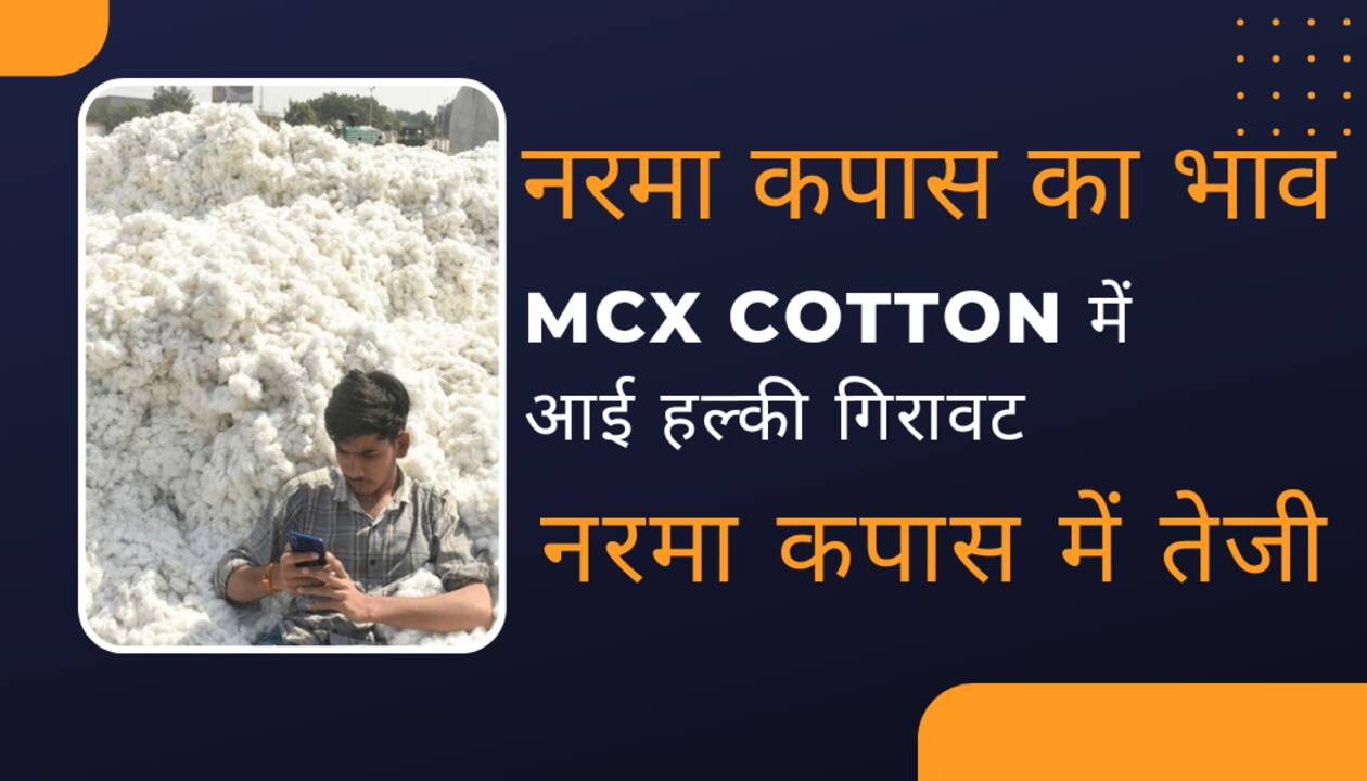 Cotton price today India 4 july