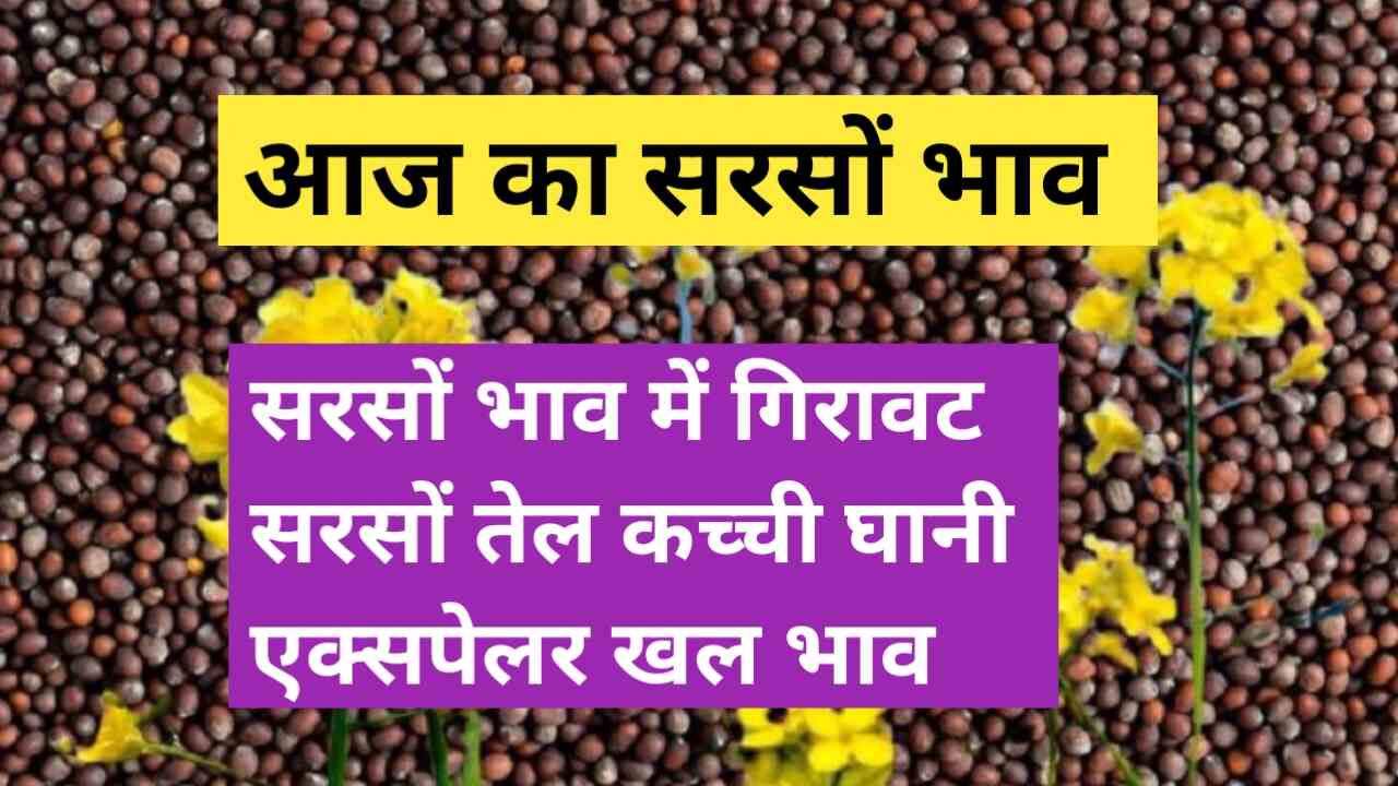 Mustard Mandi rate today 5 July