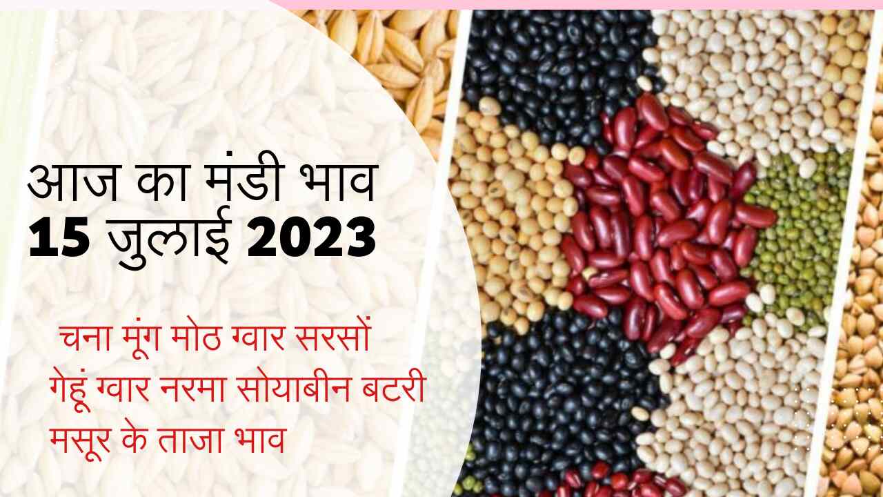 Aaj ka mandi rate 15 July 2023