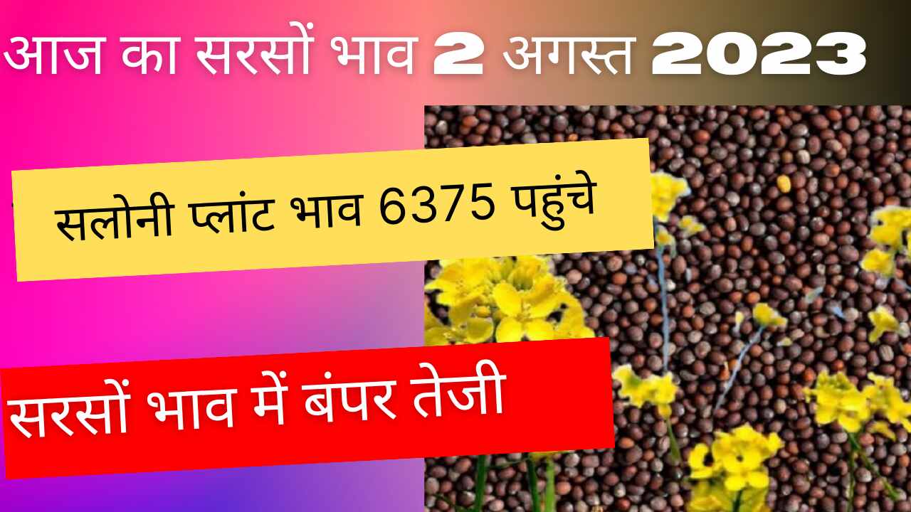 सरसों रेट 2 अगस्त 2023