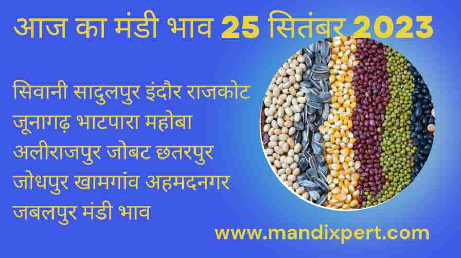 Mandi bhav today 25 September 2023