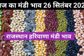 Rajasthan haryana mandi bhav 26 September 2023
