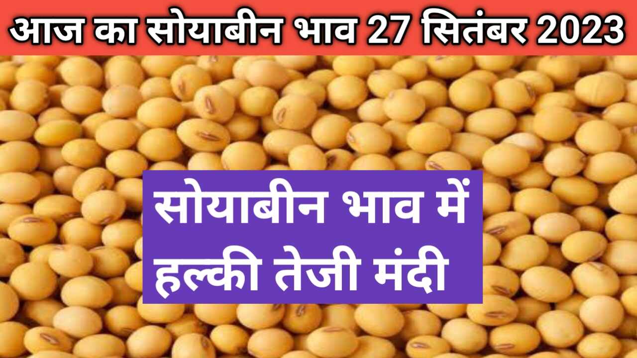 Soyabean market rate today 27 September 2023