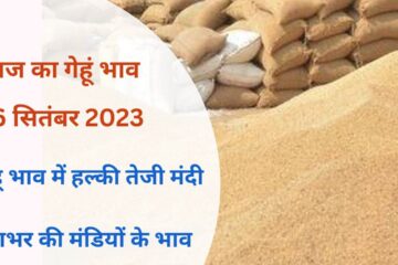 Wheat rate today 26 September 2023