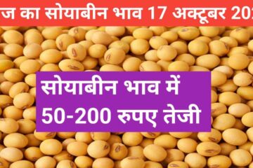 Soyabean rate today 17 October 2023
