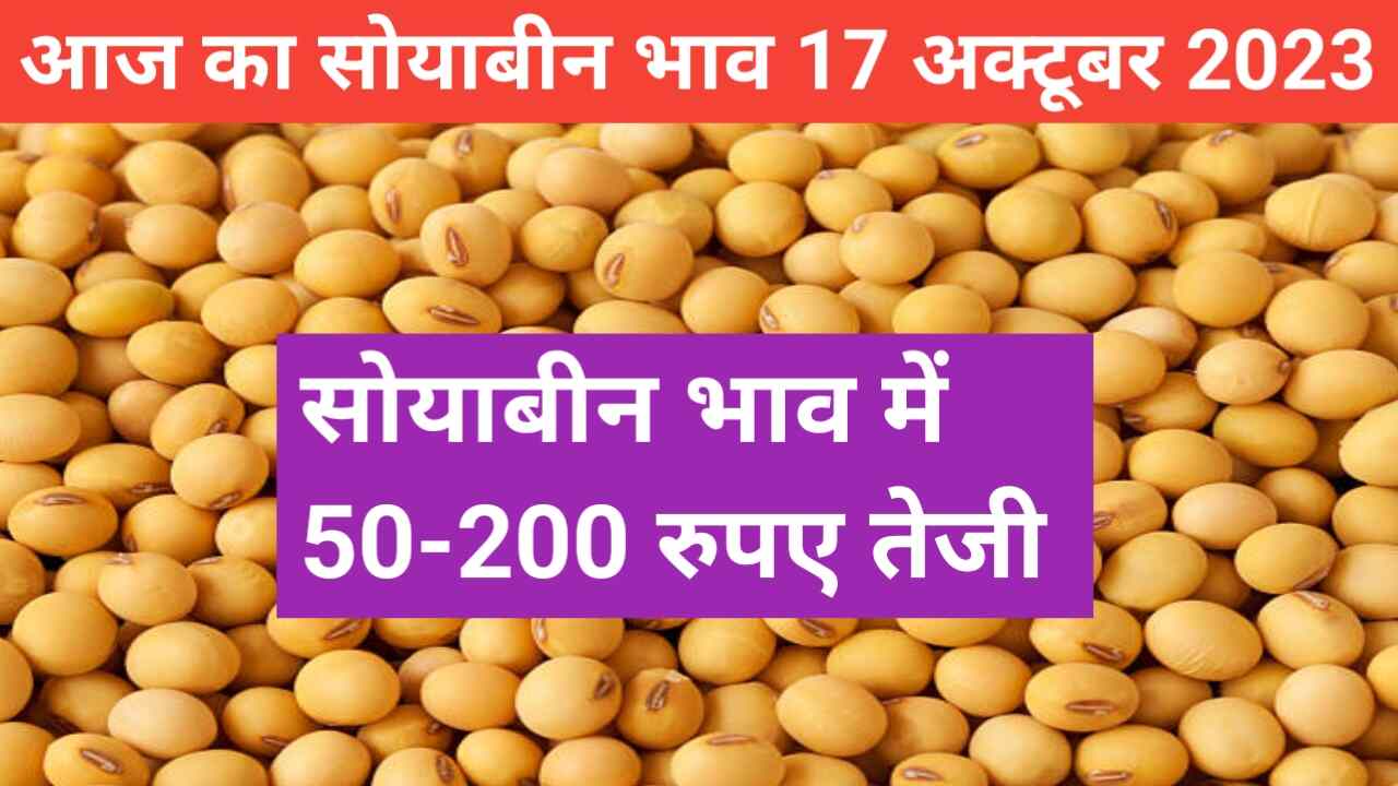 Soyabean rate today 17 October 2023