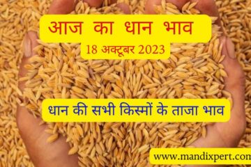 Paddy rate today 18 October 2023