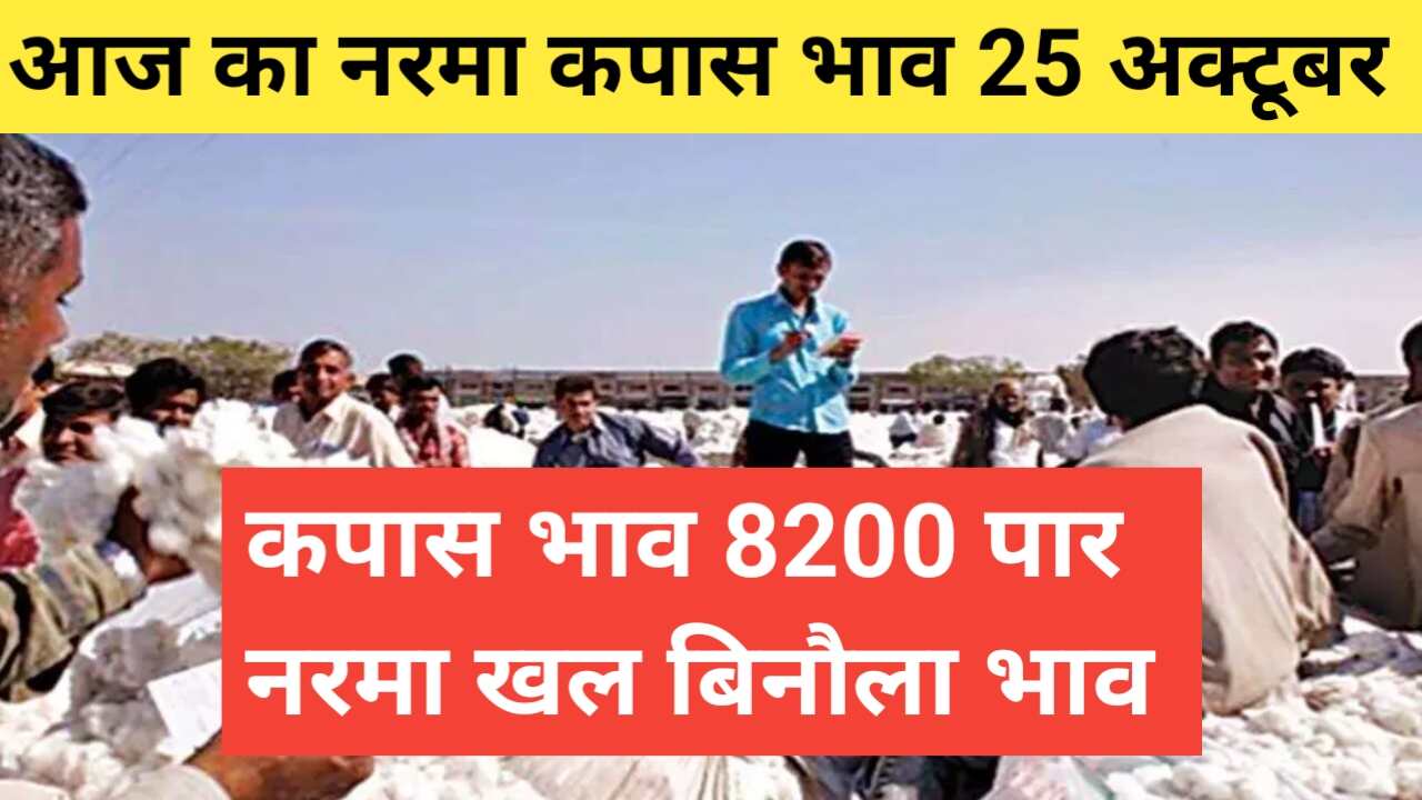 Aaj ka narma kapas ka bhav 25 October 2023