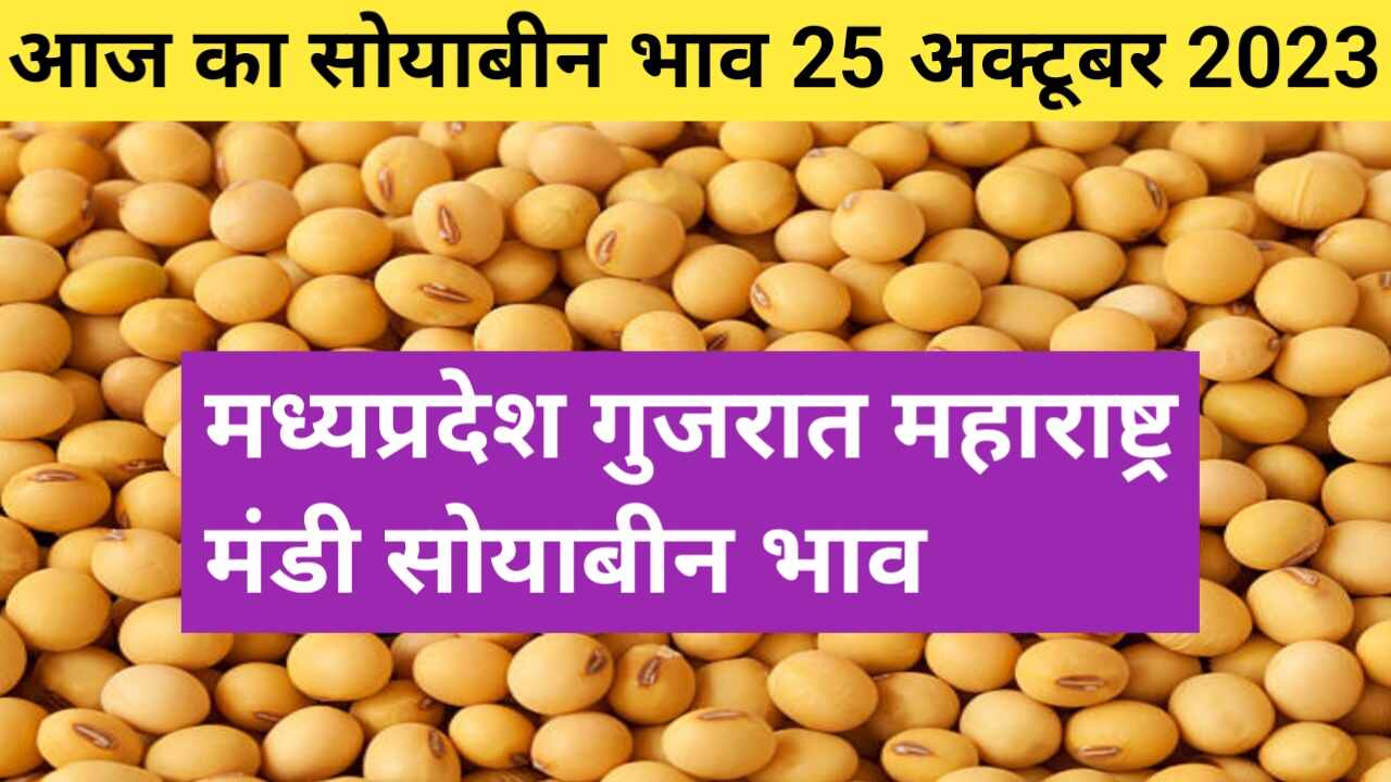 Soyabean rate today 25 October 2023