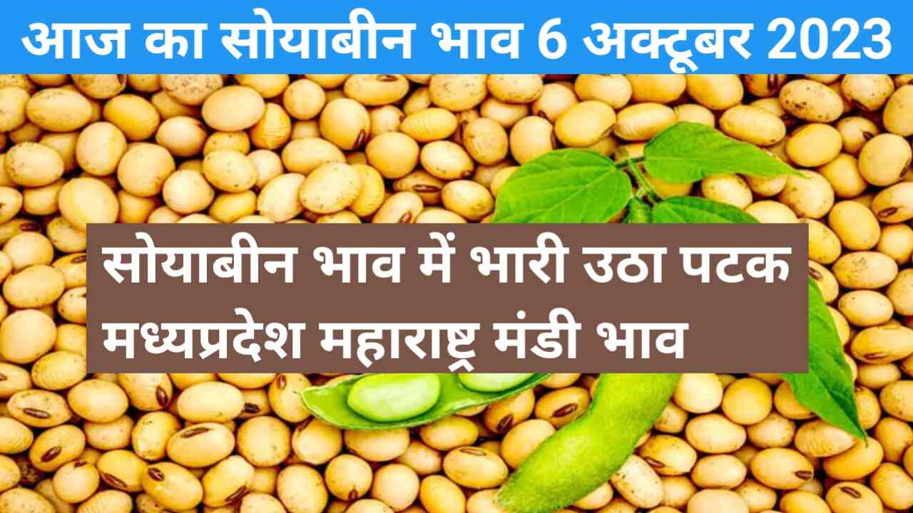 Soyabean rate today 6 October 2023