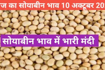 Soyabean mandi rate today 10 October 2023 . Soyabean rate fall down