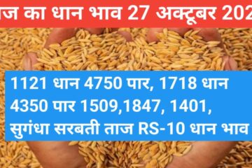 Paddy rate today 27 October 2023