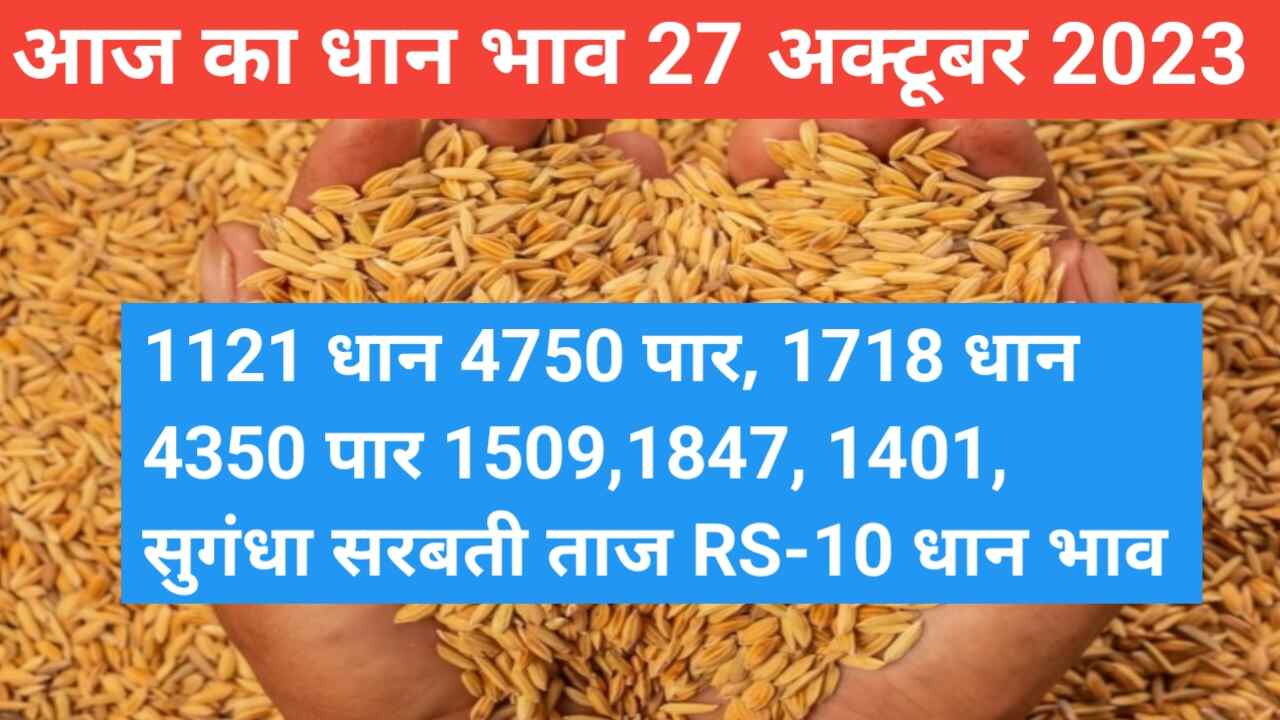 Paddy rate today 27 October 2023