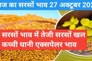 Mustard rate today 27 October 2023