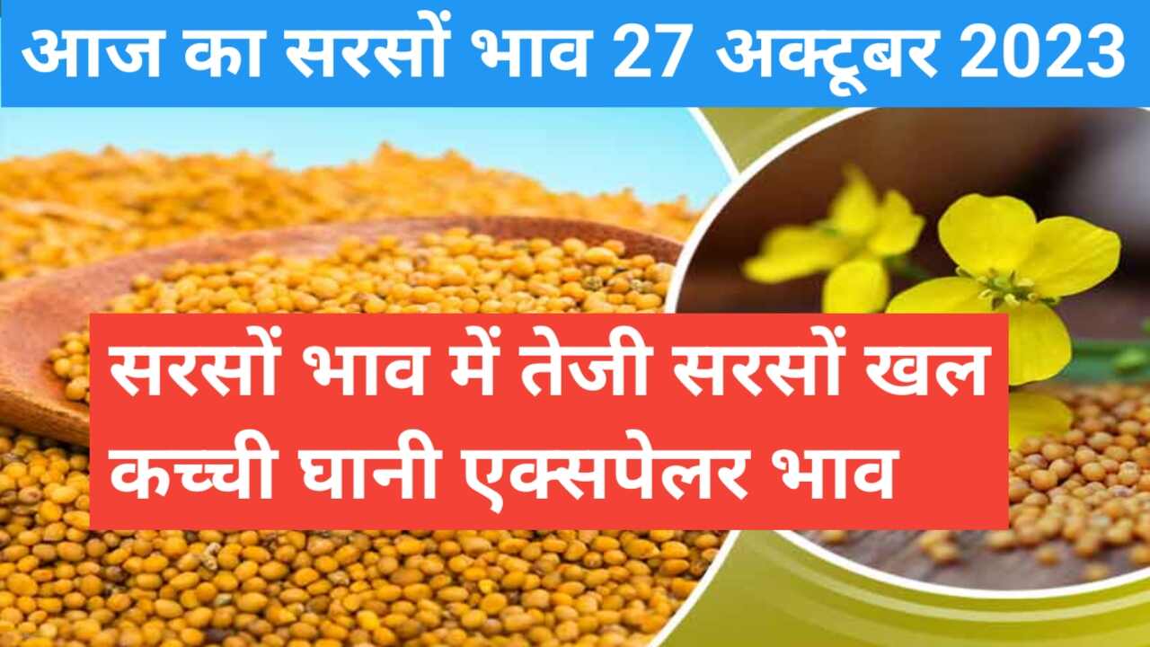 Mustard rate today 27 October 2023