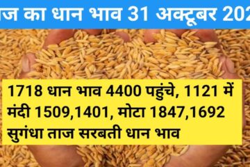Paddy rate today 31 October 2023