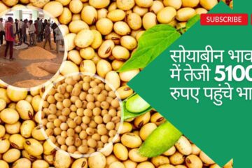 Soyabean market rate today 27 October 2023