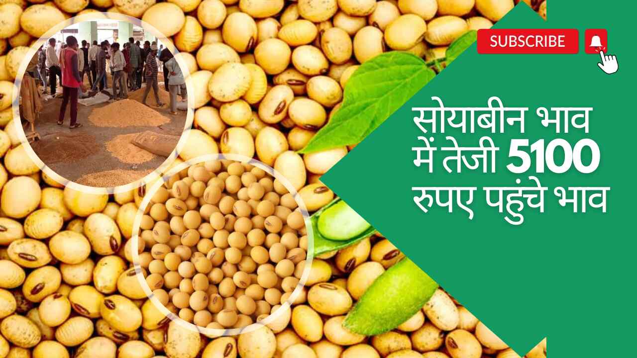 Soyabean market rate today 27 October 2023