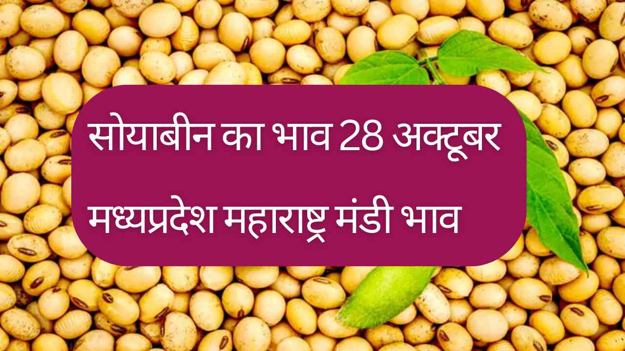 Soyabean rate today 28 October 2023