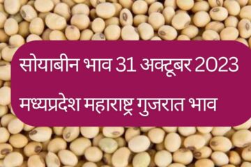 Soyabean rate today 31 October 2023