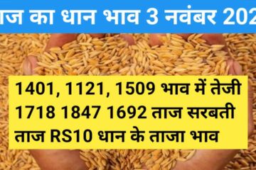 Paddy rate today 3 November 2023