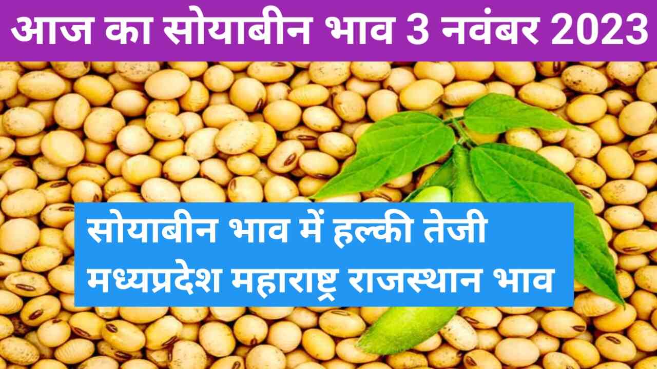 Soyabean rate today 3 November 2023