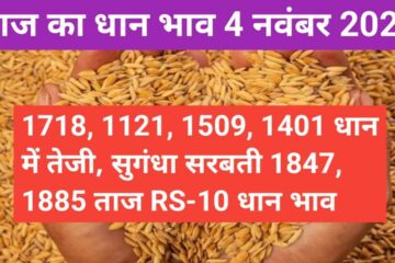 Paddy rate today 4 November 2023