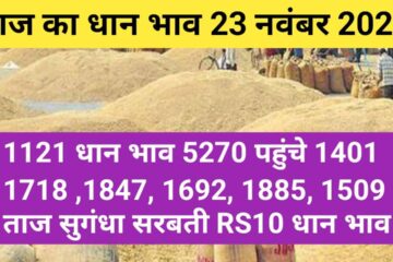 Paddy rate today 23 November 2023
