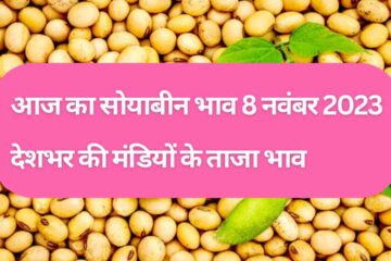 Soyabean rate today 8 November 2023