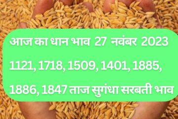 Paddy rate today 27 November 2023