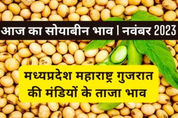 Soyabean rate today 1 November 2023