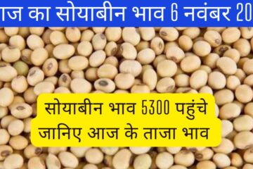 Soyabean rate today 6 November 2023