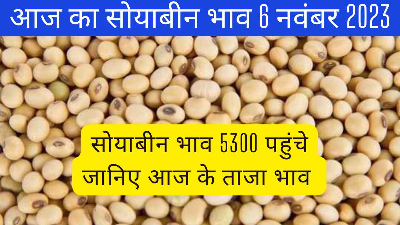 Soyabean rate today 6 November 2023