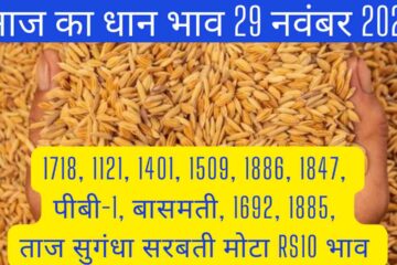 Paddy rate today 29 November 2023