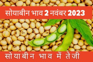 Soyabean rate today 2 November 2023