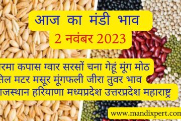 Mandi bhav today 2 November 2023