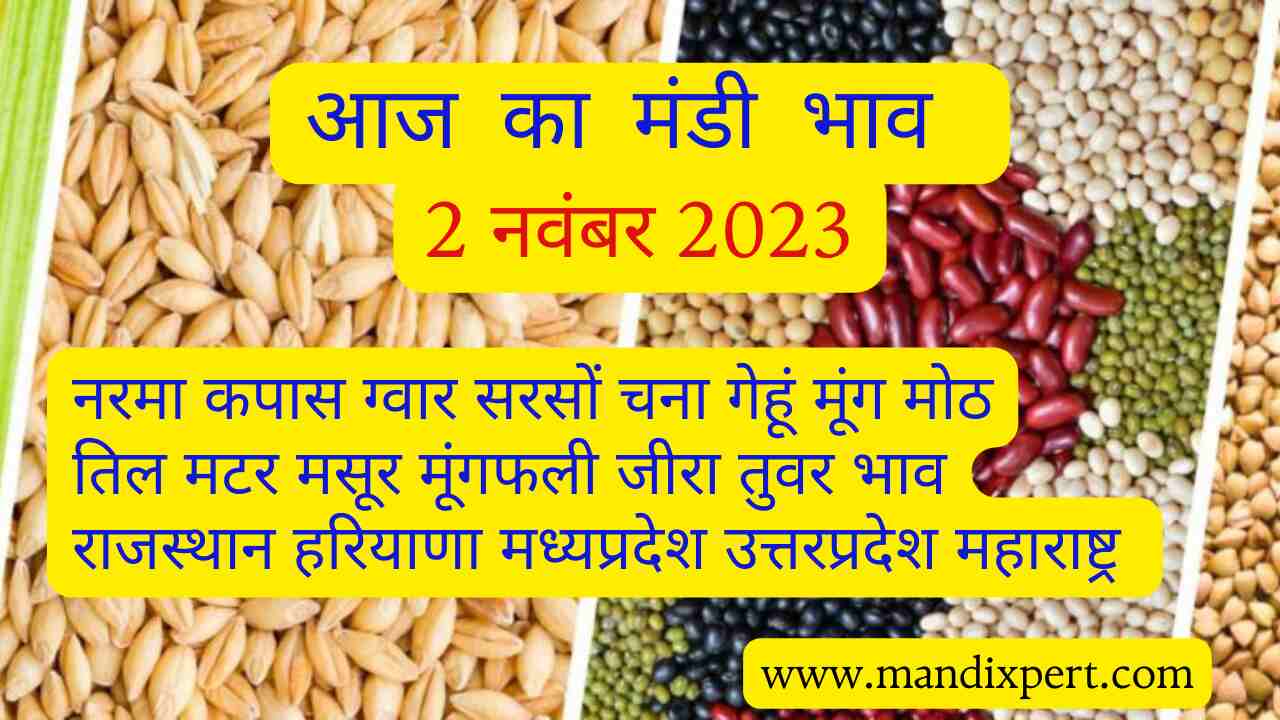 Mandi bhav today 2 November 2023
