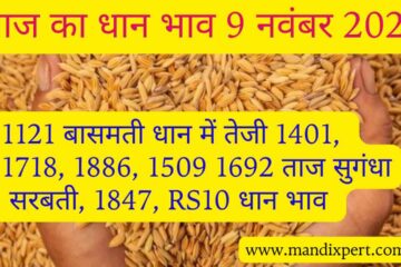 Paddy rate today 9 November 2023