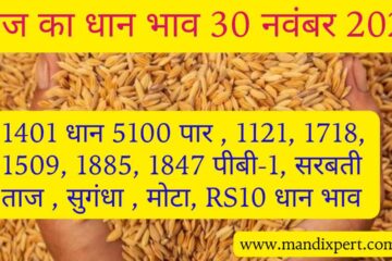 Paddy rate today 30 November 2023