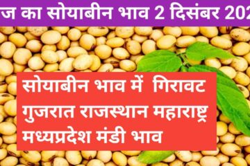 Soyabean rate today 2 December 2023