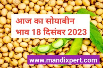 Soyabean rate today 18 December 2023. Soyabean price today fall and up