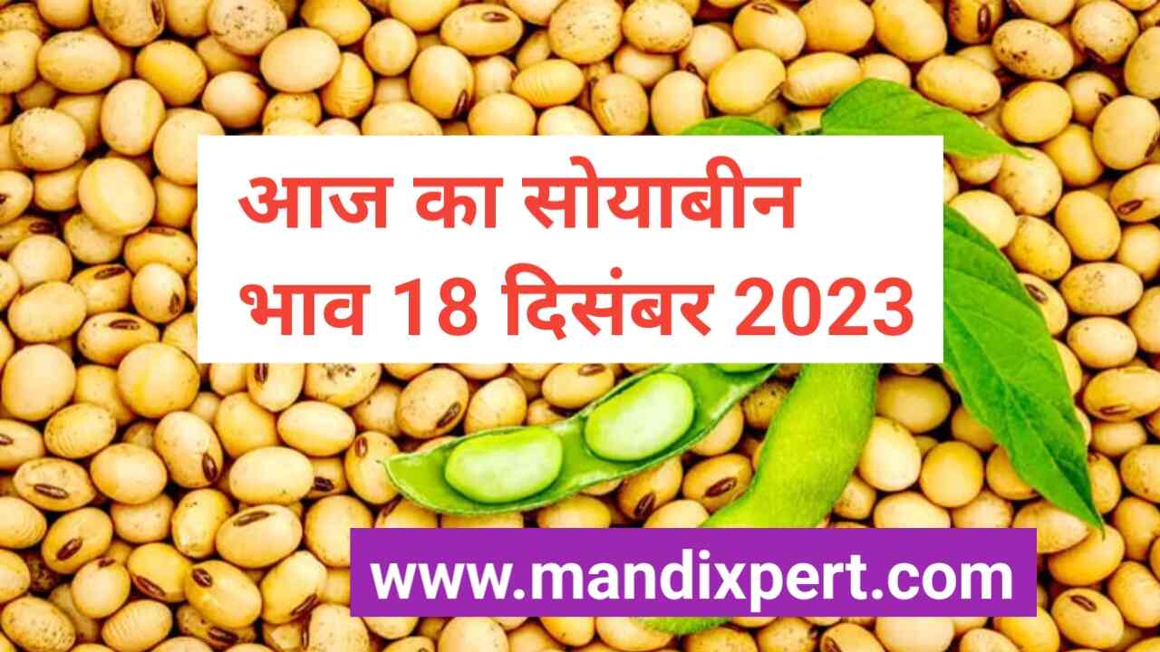 Soyabean rate today 18 December 2023. Soyabean price today fall and up