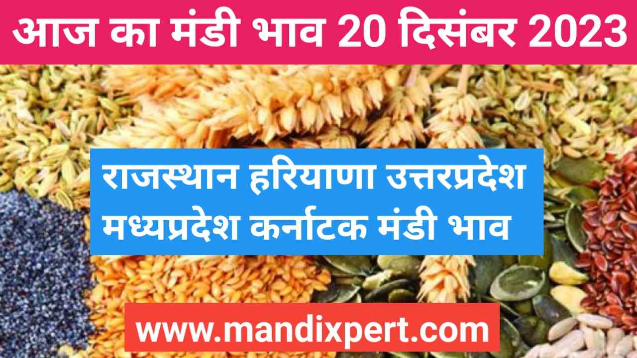 Mandi bhav today India 20 December 2023